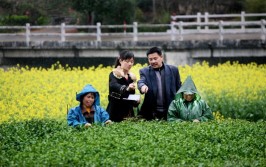 大学生村官是什么编制