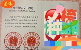 大专在读可以考安全工程师吗