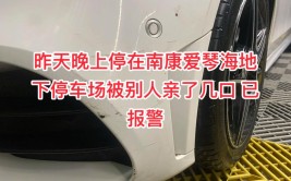 刮蹭他人车辆逃逸 砀山警方成功破获(车辆执勤逃逸新报警方)