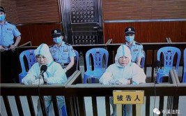 岑溪市第三人民医院原院长获刑(被告人万元县委人民医院收受)