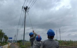 浦北：全力勘灾保供 受影响线路全部恢复供电(抢修暴雨供电影响应急)