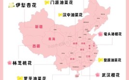 码住大美密云赏花指南提前花期观赏点位→