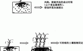 大棚土壤养护基本原理