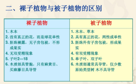 被子植物和裸子植物的区别