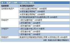 谁“掏空”了凯迪生态？(凯迪生态亿元阳光资金)