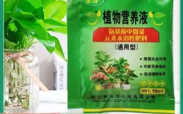 长春公园有个植物医院教您在家自制液体花肥