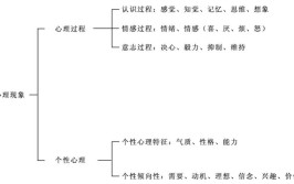 心理的三大过程指