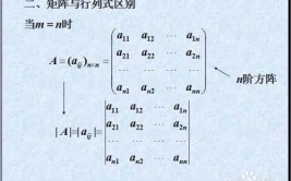 矩阵提出系数怎么提