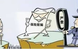 调包骗保十五万余元终受惩(公安机关人保车主财险绿化带)