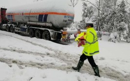 雪天护送病重幼儿入院 桐柏交警上演爱心接力(桐柏接力护送救治交警)