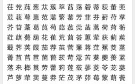 草字头有哪些字