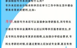 最好是好就业、能专升本、能考公考编的(专升本专科就业专业高考)