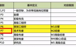 p7是什么职位