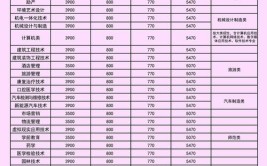 宣城职业技术学院艺术类学费多少钱一年