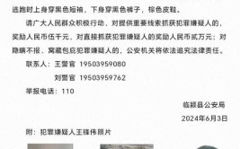 警方喊你归案！认准这张脸，悬赏20万！(悬赏警方归案万元通告)