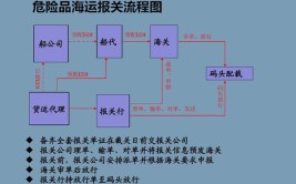 4.2类危险品出口流程及注意事项(危险品出口海运申报装卸)