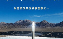 科学绿化数字赋能碳汇试点…浙江推动国土绿化高质量发展