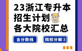 浙江专升本填报志愿一个学校能填两个专业吗