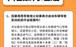 该如何理赔、如何买保险？(理赔车辆发动机暴雨车主)