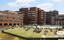 筑波大学相当于国内的什么大学？