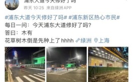 浦东大道将恢复六车道通车，13条公交线今回归，但故事还没讲完(浦东大道还没车道十几年通车)