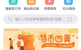 车贩子用什么软件查维修记录？查维保记录哪个软件好？(记录维修车辆贩子软件)