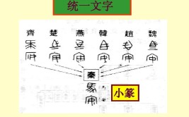 秦国统一后统一的标准文字是什么？