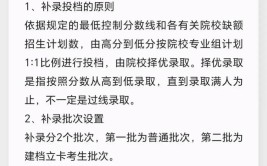 本科征集志愿什么意思