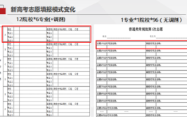 山东96个志愿可以不填满吗