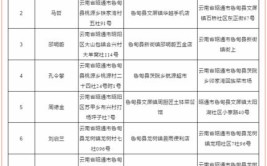 鲁甸县工商业联合会2020年“贷免扶补”创业贷款拟扶持人员名单公示 （第一批）(桃源百货店创业扶持山镇)