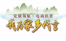 我为家乡代言(平阴遥控器飞机信号我为)