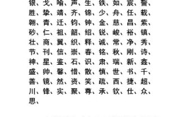 吉祥的运输公司名字大全(汽车运输运输公司起名汽车名字)