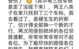 三熊孩子车上“作画”三家长花4500元“买单”(民警车子修理费三名小孩)