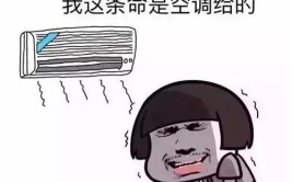 真贵！(空调喇叭口思索无言天气)