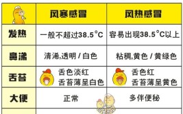 冷飕飕与冷嗖嗖的区别