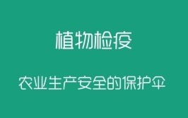 全民国家安全教育日植物检疫篇