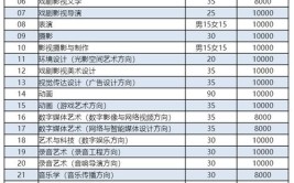 中国传媒大学中外合作办学学费多少钱一年