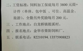 密山最新招聘信息(工资招聘工作周岁小时)