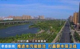 江阴新桥镇精准推进水污染治理 全力打赢碧水保卫战