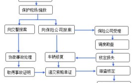 如何索赔？(机动车被保险人赔偿责任承担驾驶人)