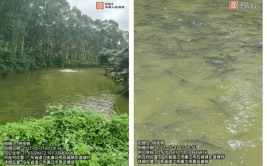 养殖有保障无锡首单商业性水产品养殖综合气象指数保险落地