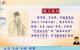 杨万里被称为什么