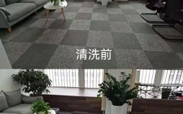 甘肃省庆阳市古象工艺地毯有限公司简介(庆阳地毯公司简介工艺有限)