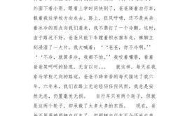 “我与父亲”征文‖爸爸的自行车(爸爸自行车的人网兜父亲)