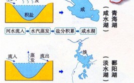 咸水湖和淡水湖的区别