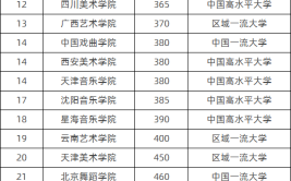 成考艺术类可以上哪些院校