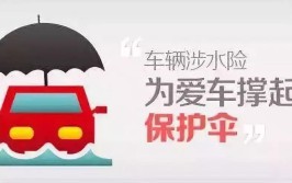 “泡水车”保险赔付指南②：买了车损险？还要买涉水险吗？(涉水华声全国平台投稿)