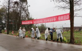 春风催新绿 植树正当时 迪庆公路局开展2024年春季义务植树活动