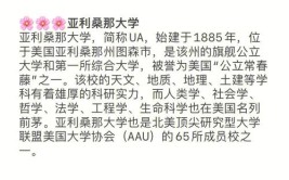 亚利桑那大学相当于国内什么大学