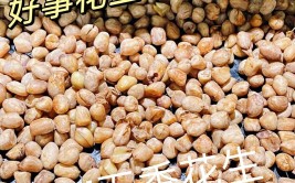 花生属于什么类食物